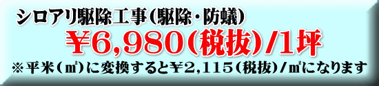 シロアリ駆除工事(駆除・防蟻)
