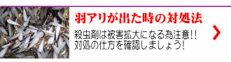 WEB限定のお得なキャンペーン情報!! お得な割引がありますよ♪