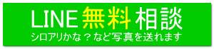 シロアリかな？など写真を送れます 