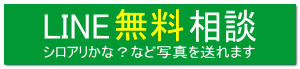 シロアリかな？など写真を送れます 