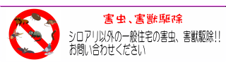 予防と駆除で工事金額が変わりますので、 しっかりと調査を行い、見積書を提示しています。