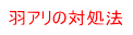 羽アリの対処法