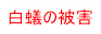 白蟻の被害